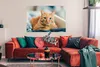 MuchoWow® Poster Katze - Kleidung - Schrank 120x80 cm - Produktbild-Vorschau 2