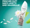 Rexona Maximum Protection Anti-Transpirant Spray Lime & Produktbild-Vorschau 6