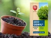 Wurzelstimulator Osiryl - 10ml - Besseres Pflanzenwachstum Produktbild-Vorschau 8