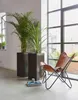 A modern living room with large windows, featuring two tall planters with lush green plants, a leather butterfly chair, and a book on the floor. Produktbild-Vorschau