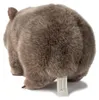WWF Plüschtier Wombat (28cm) lebensecht Kuscheltier Produktbild-Vorschau 4