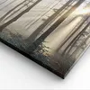 Bild auf Leinwand - Leinwandbild - Wald Baum Natur - Produktbild-Vorschau 5