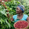 Tchibo Barista Espresso ganze Bohne, 1 kg Náhľad obrázku produktu 6