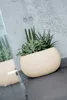 Prosperplast Splofy Bowl 23.9x23.9x16.1 Cm Blumentopf Weiß  Produktbild-Vorschau 5