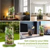 360° Cilindrisch terrarium, vivarium, acryl terrarium, Productafbeelding-voorbeeld 11