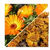 Herbs from Poland Ringelblumenblüten – Fördert Hautheilung, Produktbild-Vorschau 2