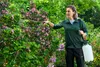 PARKSIDE® Drucksprüher, stufenlos einstellbar Produktbild-Vorschau 2