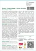 SAFLAX - Bonsai - Tamaryndowiec - 4 Nasiona - Z podłożem Podgląd zdjęcia produktu 3