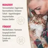Kalmerende spray Felisept Home Comfort, 100 ml Productafbeelding-voorbeeld 6