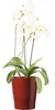 Blumentopf Soendgen Merina Candy Keramik Ø 14 H 15 cm Produktbild-Vorschau 3