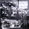 A display of dried herbs and plants decorated with string lights, likely for a festive or decorative setting. Náhled obrázku produktu
