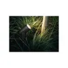 Philips Hue White and Color Ambiance LED spotlight Lily set Anteprima dell’immagine prodotto 35