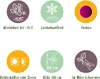 Green boutiQ - Terrasplant - Japanse Esdoorn - Acer Voir les images du produit 7