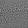 A close-up abstract texture of cracked black and white paint. Produktbild-Vorschau