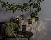 Star Trading 481-38, 3 Lampen, LED, Warmweiß, Draußen, Produktbild-Vorschau 18