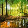 ARTland Glasbild Wald mit Bach Größe: 20x20 cm Produktbild-Vorschau 1
