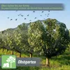 Gartennetz Teichnetz 10 x 25m Vogelschutznetz Produktbild-Vorschau 5