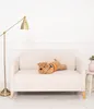 A plush dog toy lies on a cream-colored sofa in a bright, minimalist room. Voir les images du produit