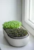 Sprossenschale & Pflanzschale ReGrow | Keimschalen von Produktbild-Vorschau 31