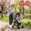 Hauck Sport, Baldachýn, Ľahký vozík, Akékoľvek pohlavie, Náhľad obrázku produktu 2