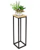 A decorative stand with a potted plant on top, set against a white background. Produktbild-Vorschau