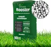 Hnojivo na trávník Anti-Moss 10 kg na 500 m² Posilovač Náhled obrázku produktu 1