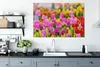 MuchoWow® - Leinwandbilder - Tulpen - Farben - Frühling, Produktbild-Vorschau 4