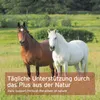 AniForte Ägyptische Schwarzkümmelsamen für Pferde 1 kg - Produktbild-Vorschau 5