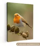 MuchoWow® - Leinwandbilder - Vogel - Rotkehlchen - Produktbild-Vorschau 1