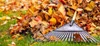 Herbstdünger Universal Kalium Phospor Spezialdünger Gemüse Produktbild-Vorschau 8