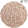25 kg. Boill  Sonnenblumenkerne geschält - Vogelfutter Produktbild-Vorschau 2