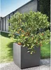 Pot de Fleur Cube Deroma Millennium R, 49 x H49,5 cm, Voir les images du produit 5