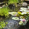 A solar-powered water fountain with LED light ring in a garden pond with water lilies and grass. Produktbild-Vorschau