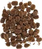 Mini-Deko-Zapfen, natürlich, 30 g Produktbild-Vorschau 1