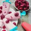Excellent Houseware Eisformen 6 Eis Pop Macher Eiscreme Produktbild-Vorschau 9