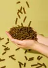 KoRo I  Fusilli aus grünen Erbsen 2 kg Produktbild-Vorschau 4
