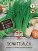 Schnittlauch ''Staro'' grobröhrig, aromatisch mit hohem Produktbild-Vorschau 1
