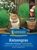 Kiepenkerl Saatscheibe Katzengras Frischgrün 5 Stück Produktbild-Vorschau 3