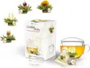 Creano ErblühTeelini Teeblumen Geschenkset mit Teeglas und Produktbild-Vorschau 1