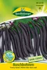 Buschbohne Purple Teepee | Buschbohnensamen von Produktbild-Vorschau 4