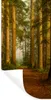 MuchoWow® Wandtattoo Wandsticker Wandaufkleber Wald - Natur Produktbild-Vorschau 1