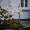 Sirius LED-Baum Alex Tree 2er Set LED warmweiß außen 80 cm Produktbild-Vorschau 1