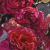 Guerlain Rosa Rossa Forte, voor dames, 75 ml, spray, Productafbeelding-voorbeeld 11