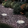 A garden path lined with solar-powered lights and lush greenery. Anteprima dell’immagine prodotto