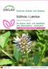 SAFLAX - Süßholz / Lakritze - Glycyrrhiza glabra - 30 Samen Produktbild-Vorschau 1