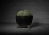 HowHomely Blumentopf Rund 23 cm Höhe, ECO Pflanzkübel mit Produktbild-Vorschau 4