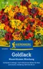 Kiepenkerl Goldlacksamen Mauerblumen 60 Pflanzen Produktbild-Vorschau 1