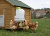 Kerbl Kerbl SmartCoop abreuvoir pour volailles 10 litres Voir les images du produit 4
