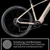 Remington XR01 E Bike Mountainbike 29 Zoll Pedelec 10 Gänge Produktbild-Vorschau 8