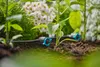 Gardena Reihentropfer regulierbar Produktbild-Vorschau 14